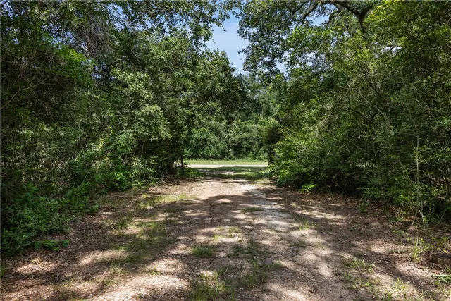 a view of backyard with green space