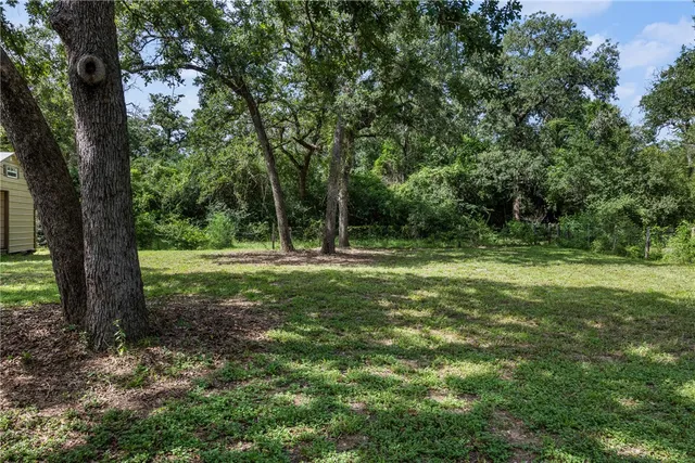 a view of outdoor space with trees all around