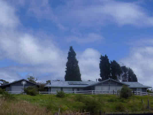 19-5870 Mahiai Road Volcano, HI 96785 - Photo 1 of 25 Gallery Image 1