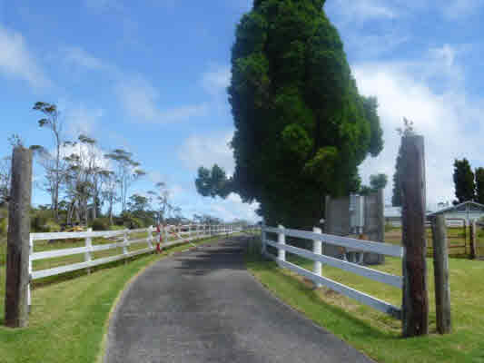 19-5870 Mahiai Road Volcano, HI 96785 - Photo 3 of 25 Gallery Image 3