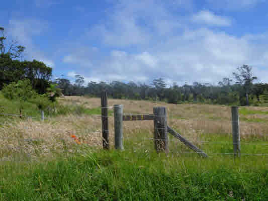 19-5870 Mahiai Road Volcano, HI 96785 - Photo 8 of 25 Gallery Image 8