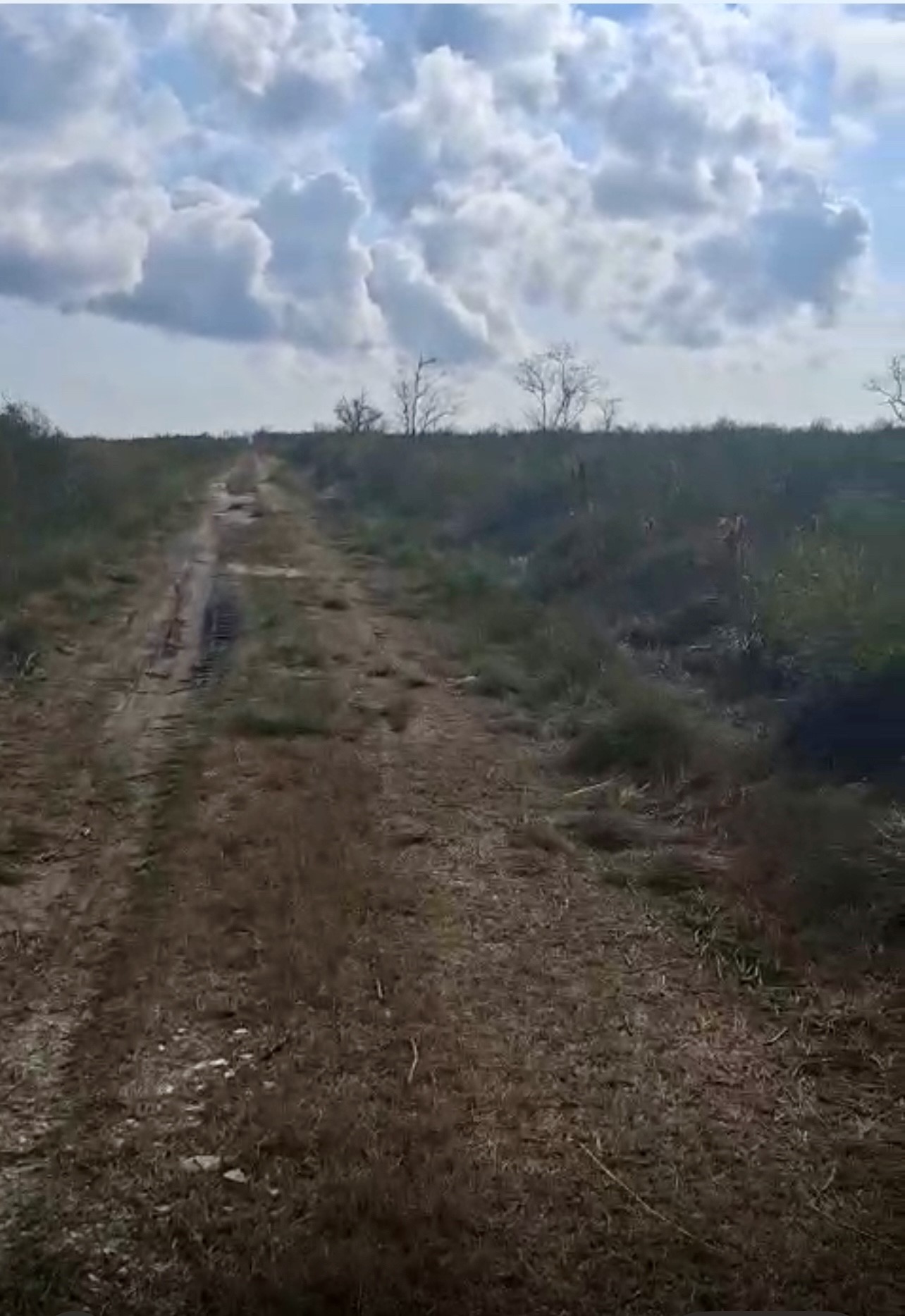 0 County Road 807 Angleton, TX 77515 - Photo 3 of 6