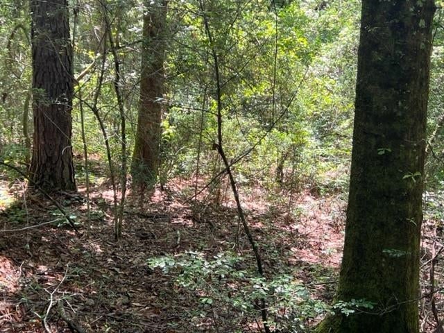 5.24-ac Adams Pond Road Opp, AL 36467 - Photo 8 of 18 Gallery Image 8