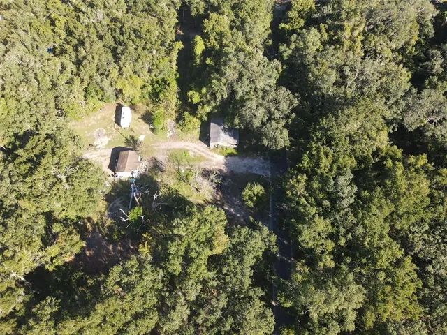 a view of a yard with a tree
