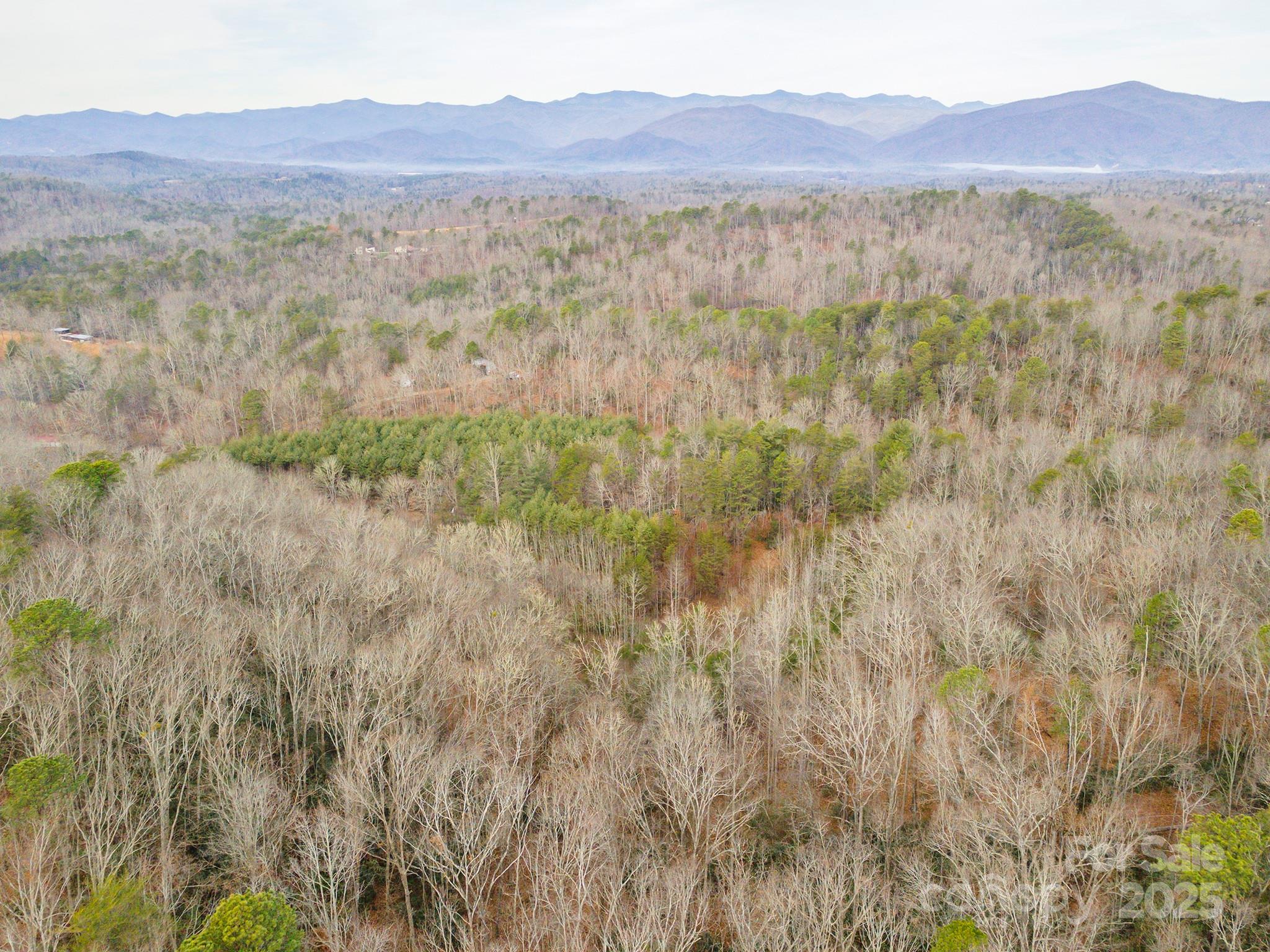 380 Buttercup Lane Marion, NC 28752 - Photo 11 of 48 a view of a lush green hillside and a building