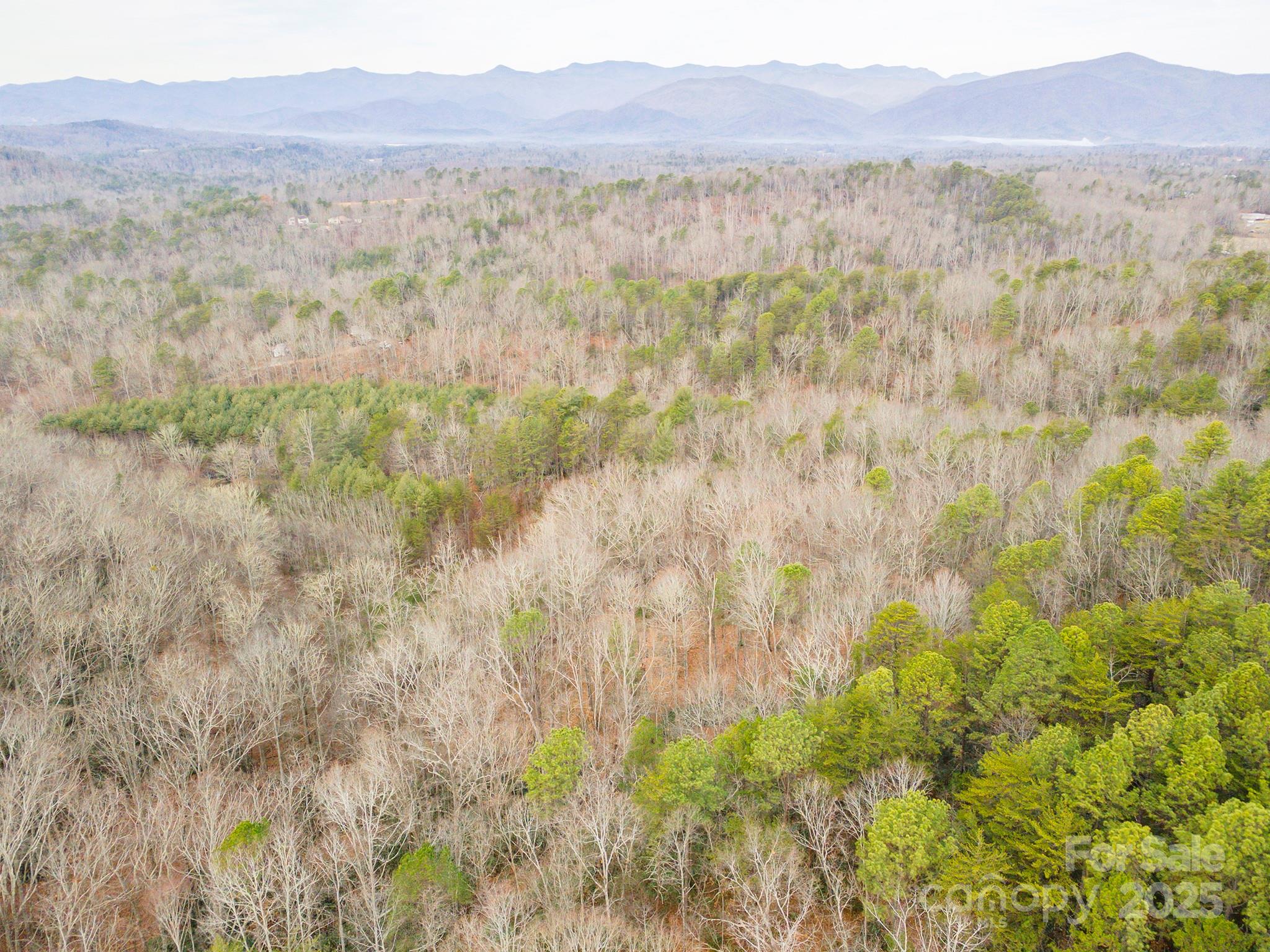 380 Buttercup Lane Marion, NC 28752 - Photo 12 of 48 a view of a lush green hillside and a building