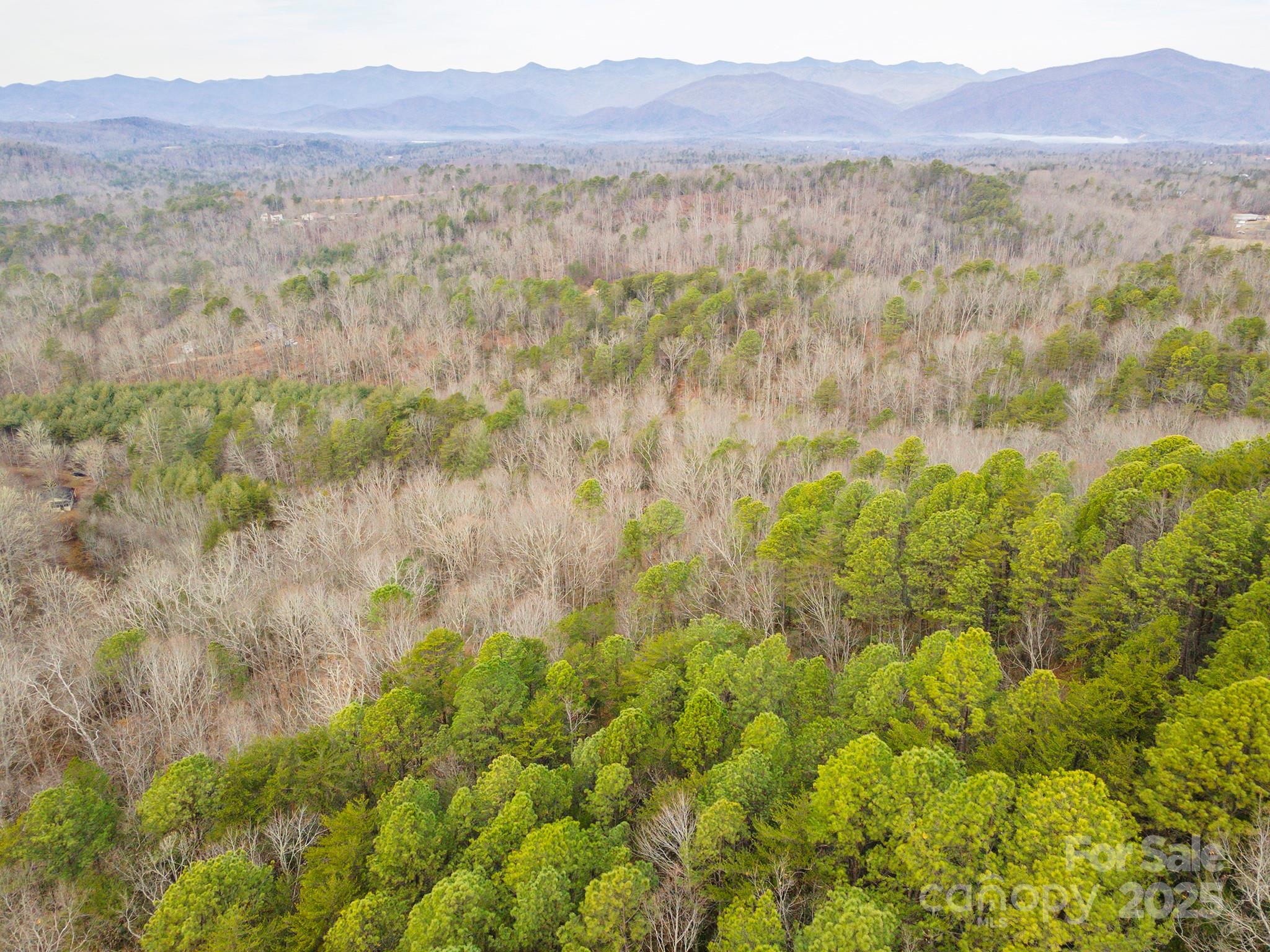 380 Buttercup Lane Marion, NC 28752 - Photo 13 of 48 a view of mountain and tree