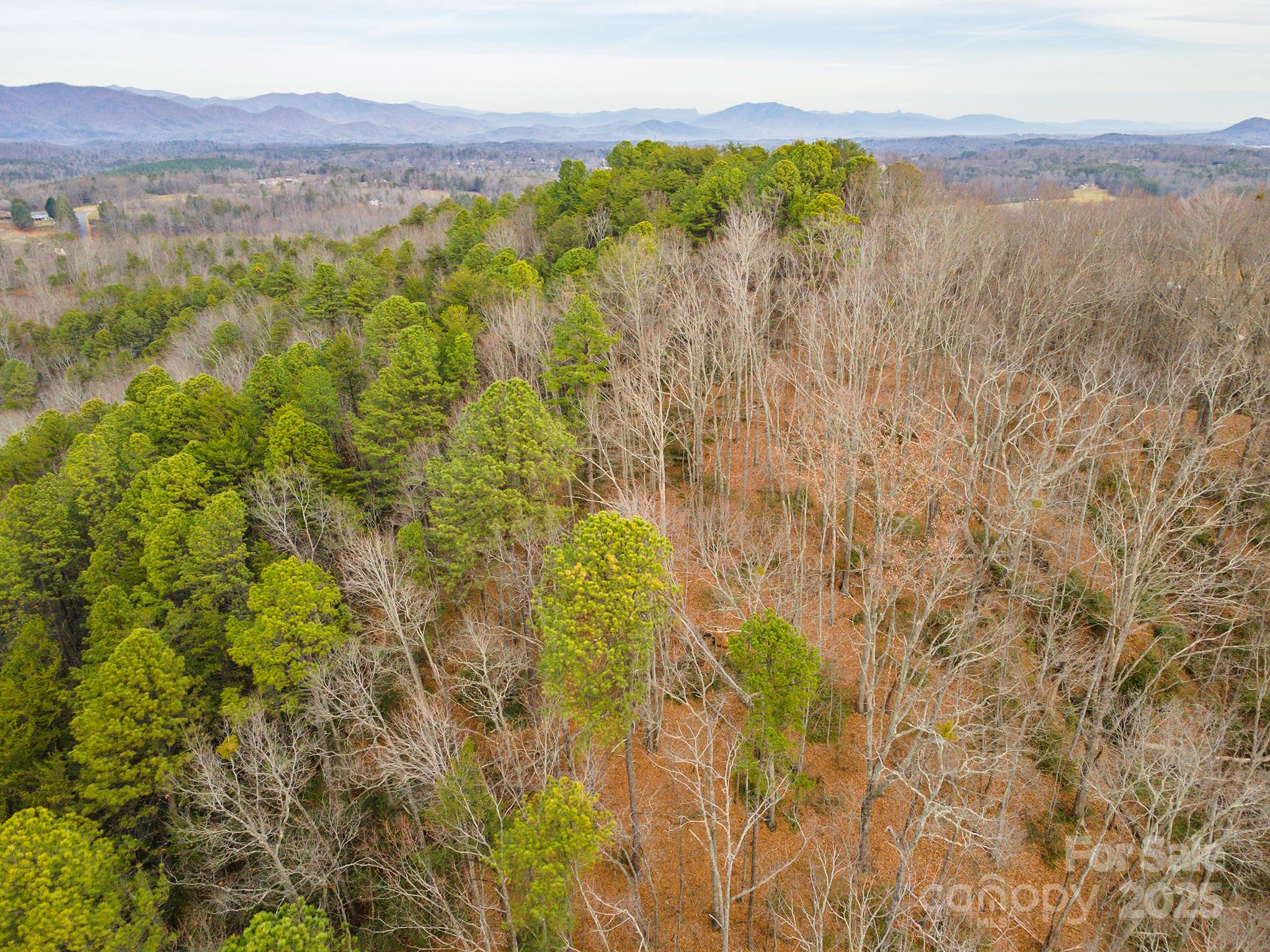 380 Buttercup Lane Marion, NC 28752 - Photo 14 of 48 a view of a lake with a mountain in the background