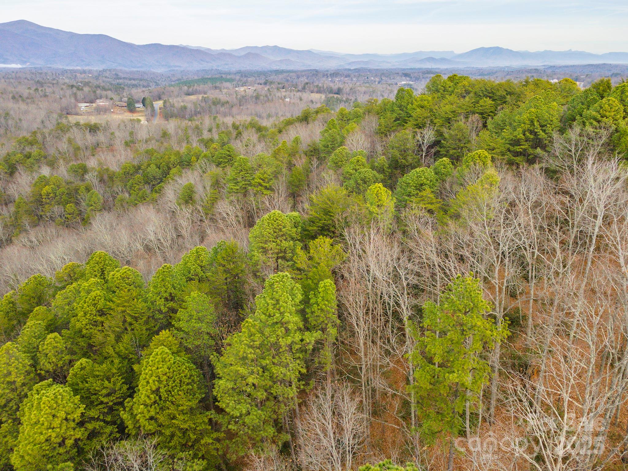 380 Buttercup Lane Marion, NC 28752 - Photo 15 of 48 a view of a lake with mountains in the background