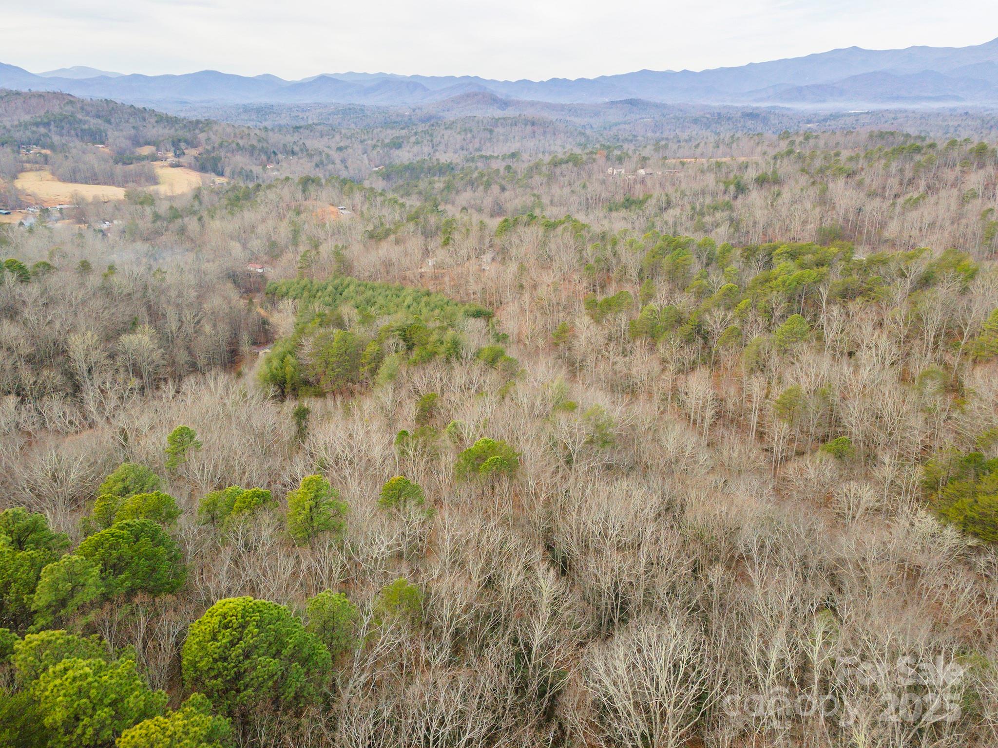 380 Buttercup Lane Marion, NC 28752 - Photo 16 of 48 a view of a lush green hillside and a mountain