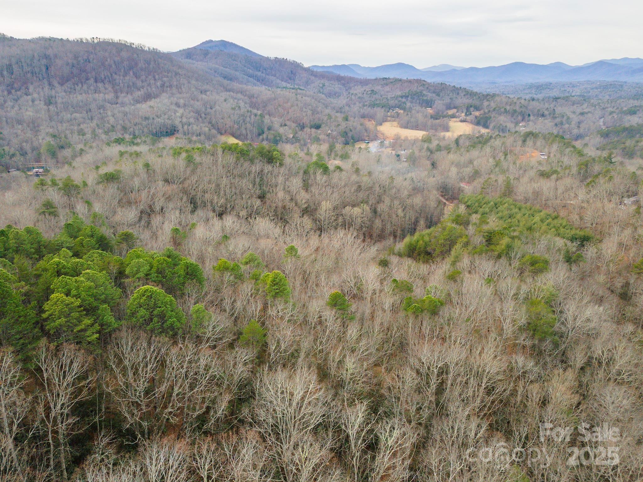 380 Buttercup Lane Marion, NC 28752 - Photo 17 of 48 a view of a forest with mountains in the background