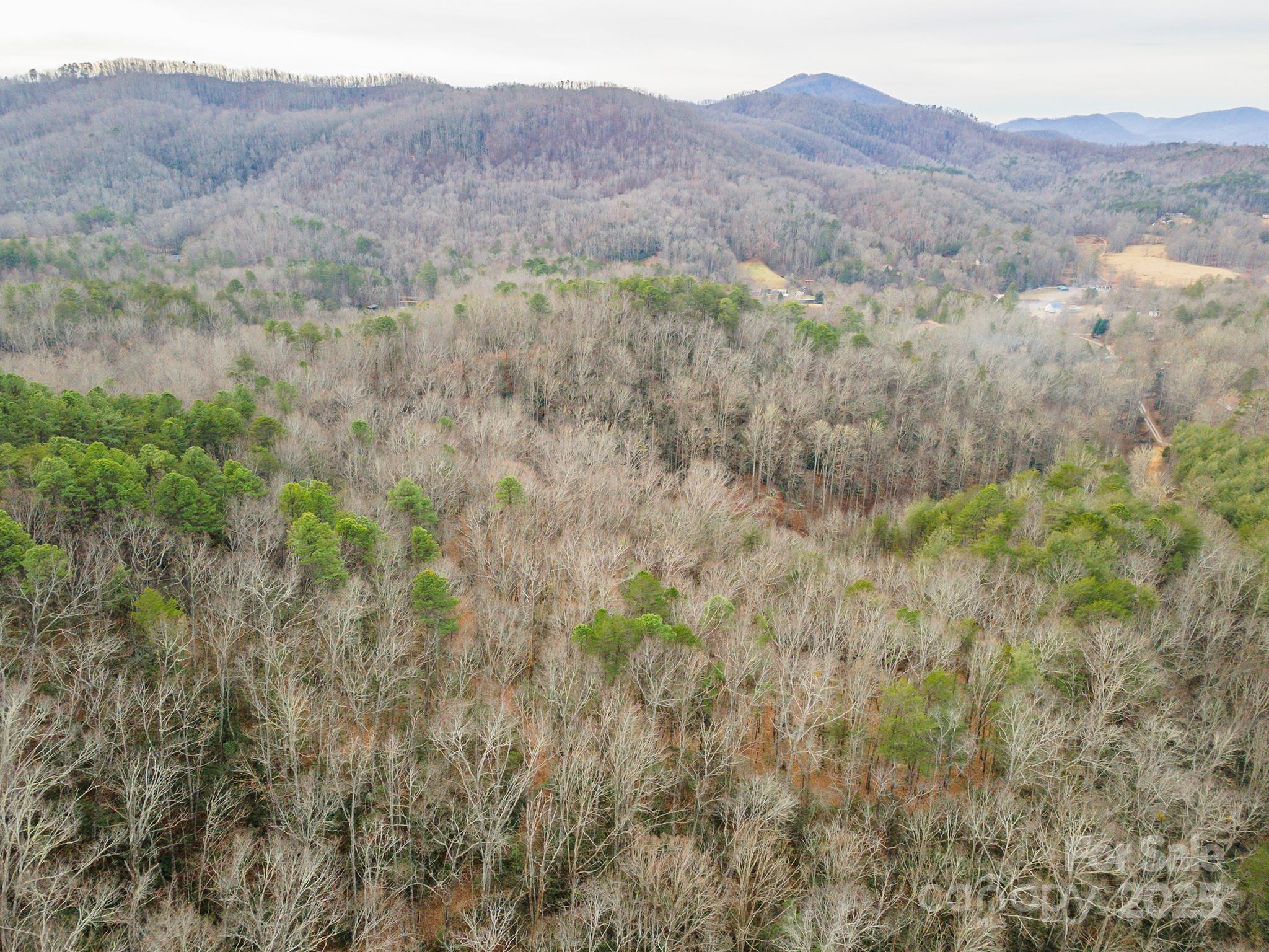 380 Buttercup Lane Marion, NC 28752 - Photo 18 of 48 a view of a lush green hillside and a house