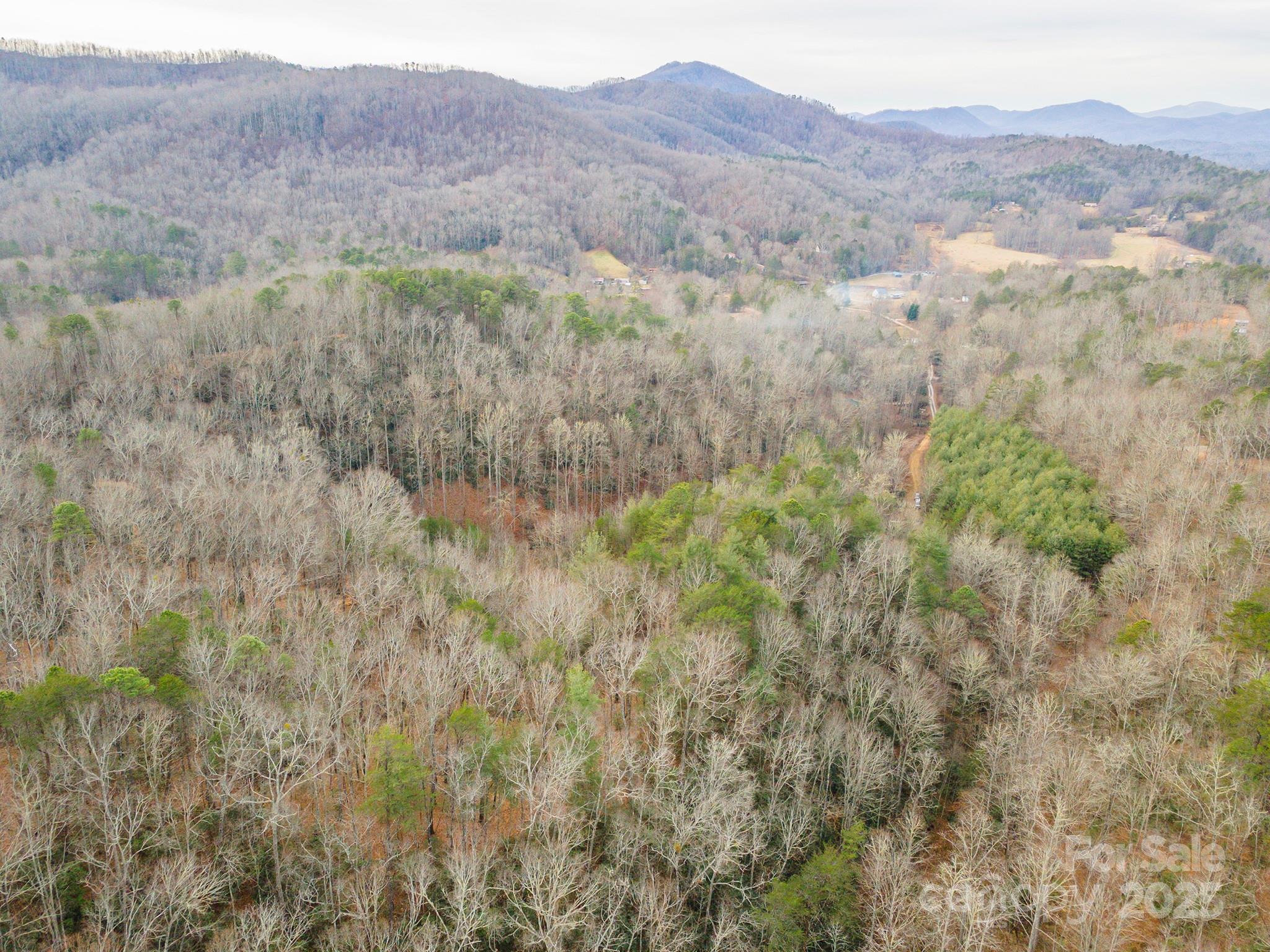 380 Buttercup Lane Marion, NC 28752 - Photo 19 of 48 a view of a large mountain with trees in the background