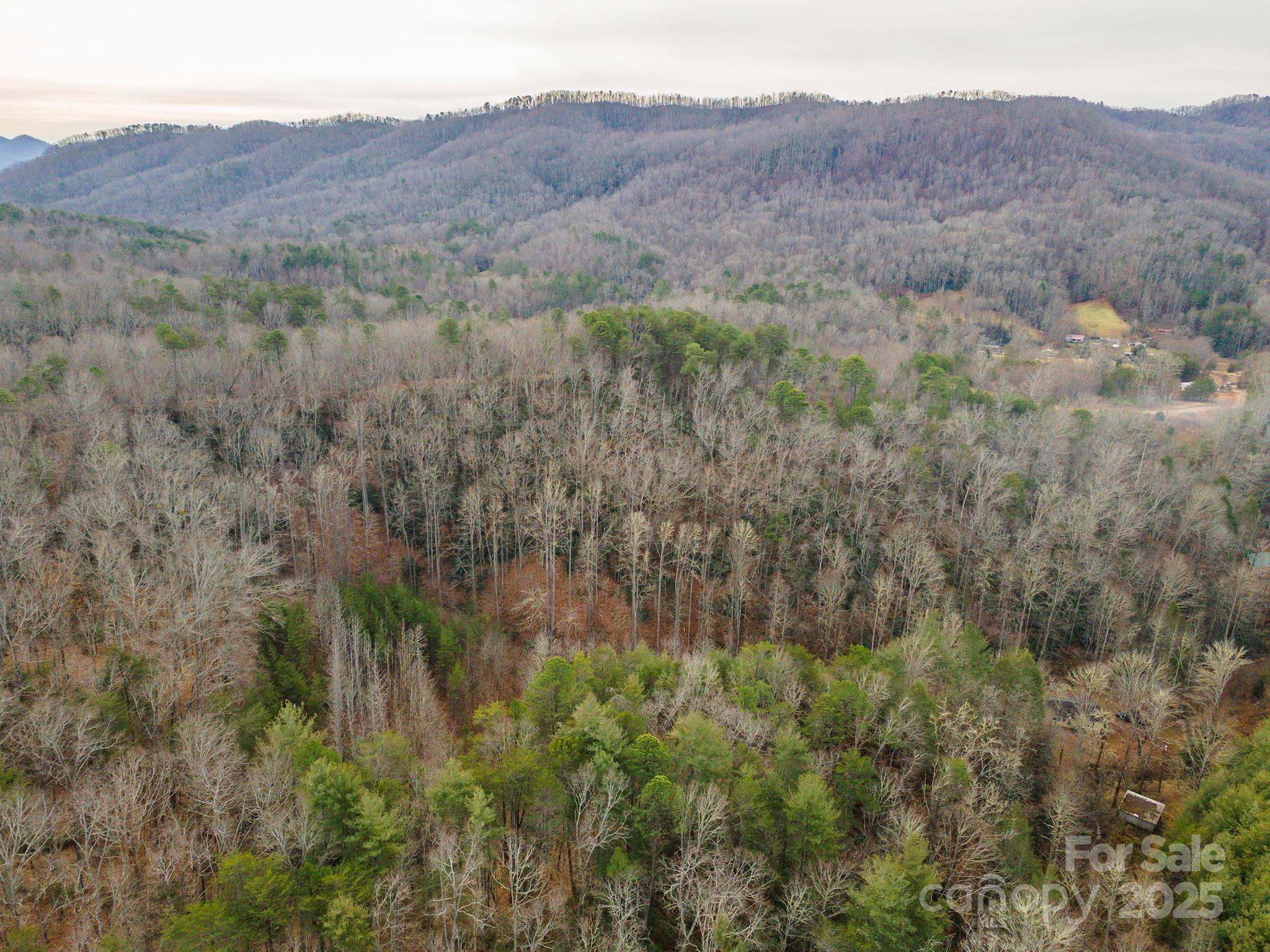 380 Buttercup Lane Marion, NC 28752 - Photo 21 of 48 a view of a lush green hillside and a house