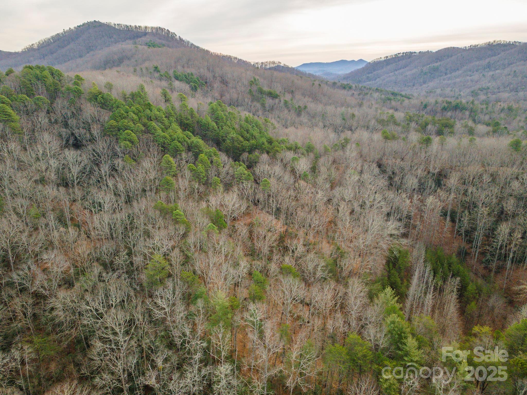 380 Buttercup Lane Marion, NC 28752 - Photo 22 of 48 a view of a lush green hillside and a building
