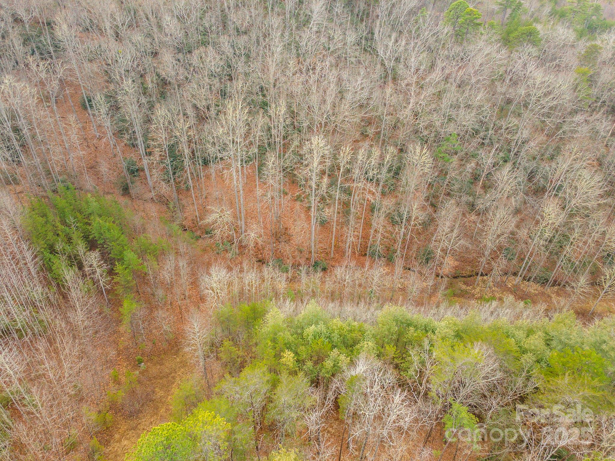 380 Buttercup Lane Marion, NC 28752 - Photo 24 of 48 a view of yard with green space