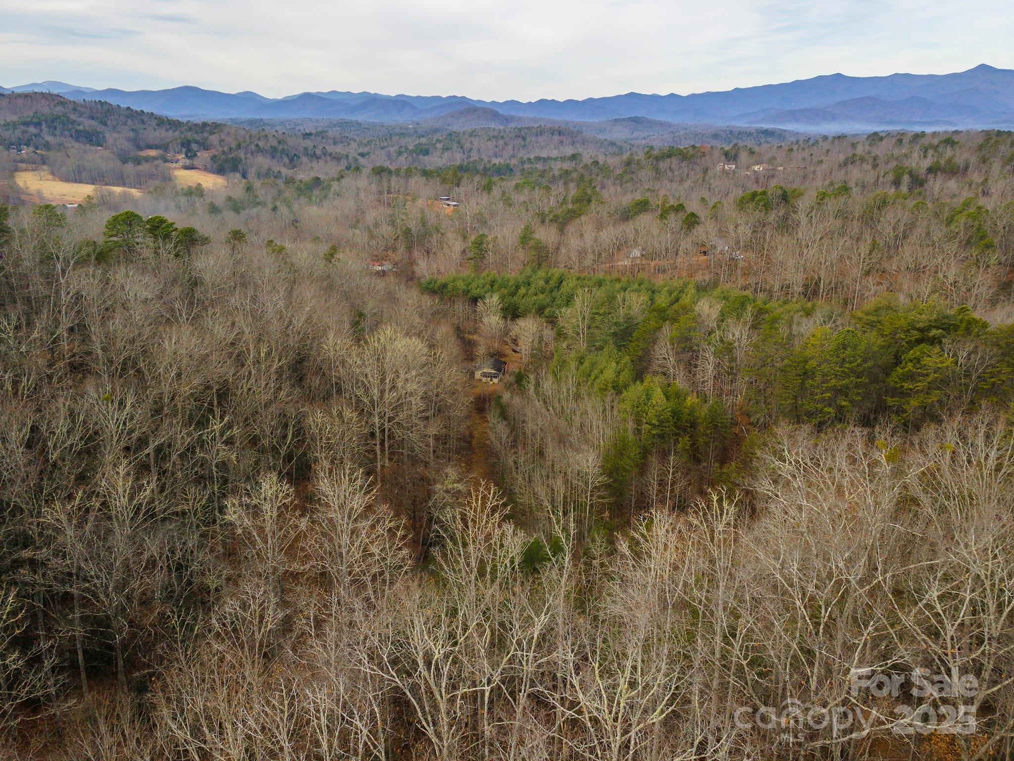 380 Buttercup Lane Marion, NC 28752 - Photo 26 of 48 a view of mountain with trees in the background