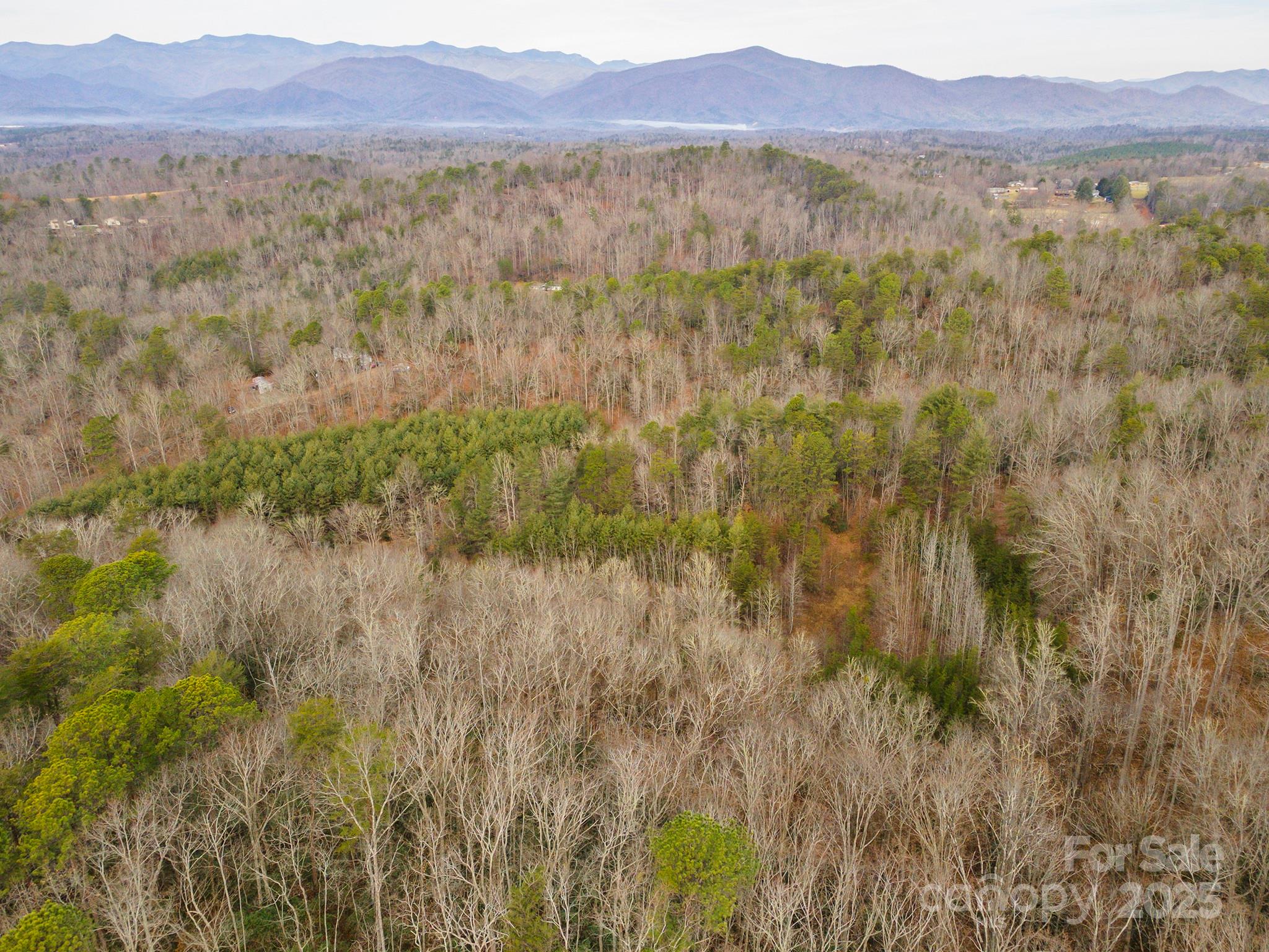 380 Buttercup Lane Marion, NC 28752 - Photo 9 of 48 a view of mountain and trees