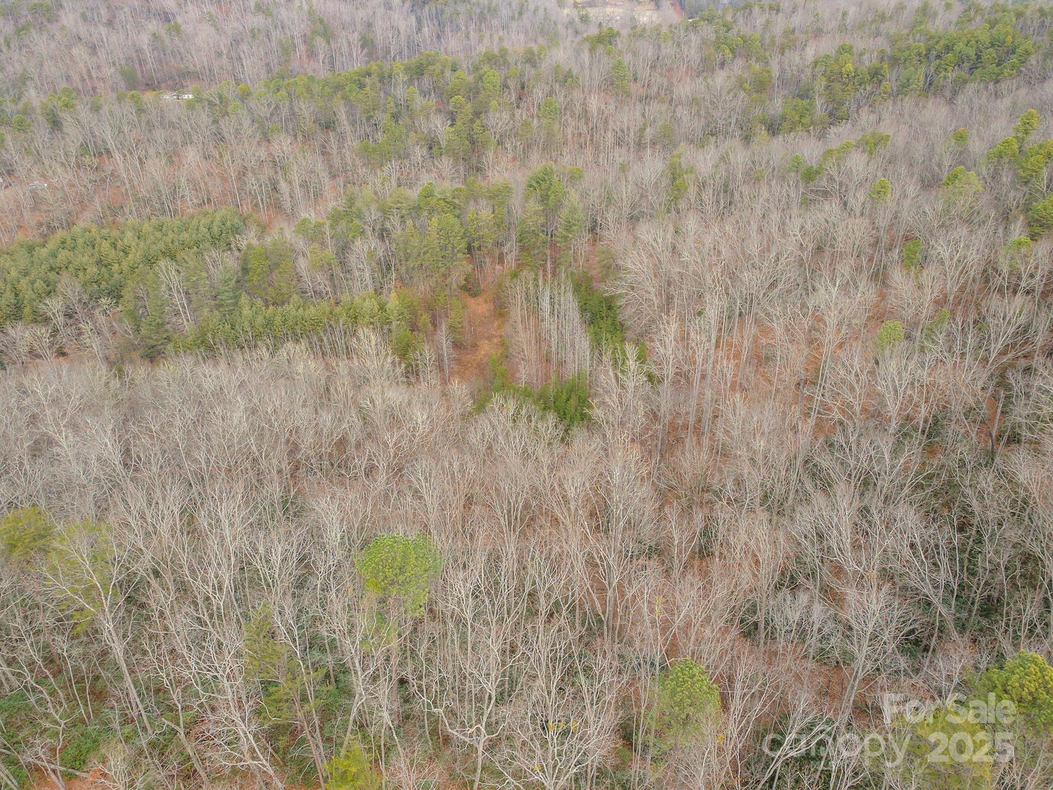 380 Buttercup Lane Marion, NC 28752 - Photo 10 of 48 a view of a yard