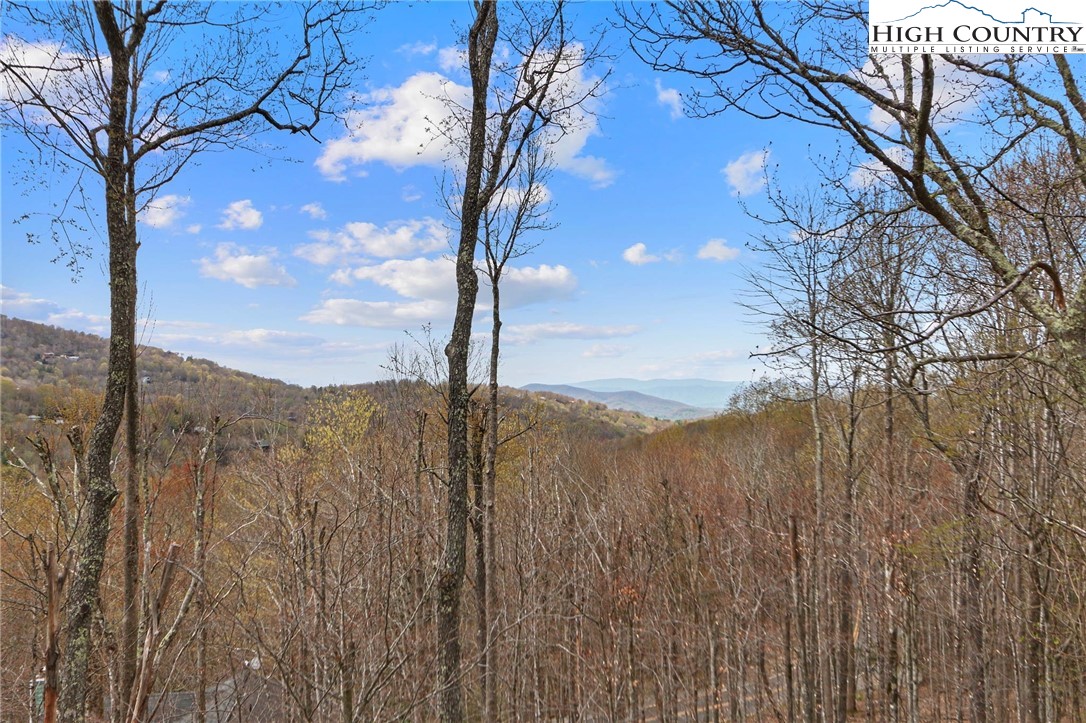 145 Tamarack Road Beech Mountain, NC 28604 - Photo 5 of 40 Gallery Image 5