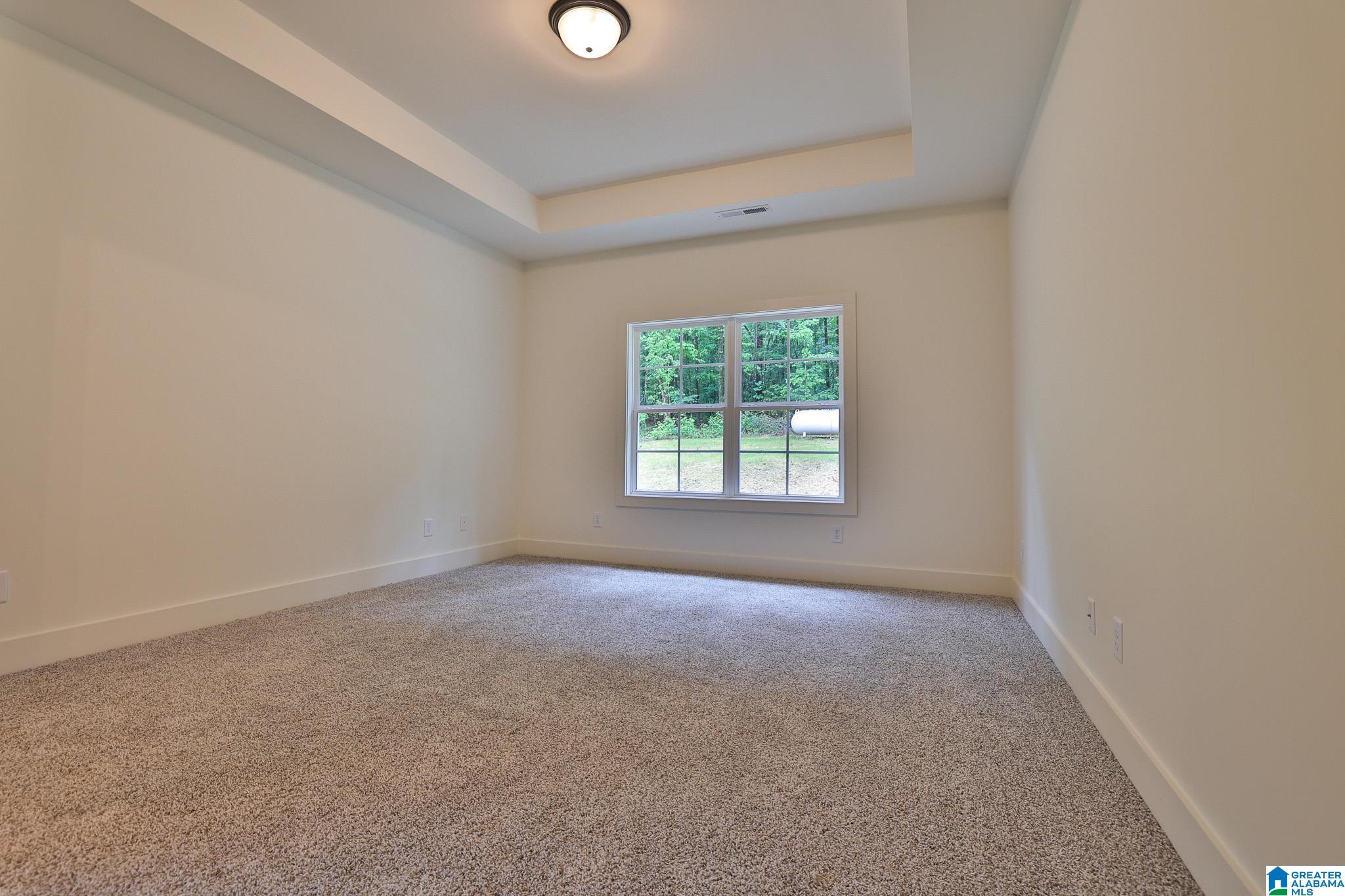 330 Black Acres Road Cropwell, AL 35054 - Photo 8 of 22