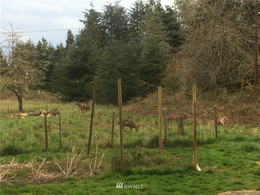 8725 Southwest Cemetery Road Vashon, WA 98070 - Photo 14 of 14 a view of a park