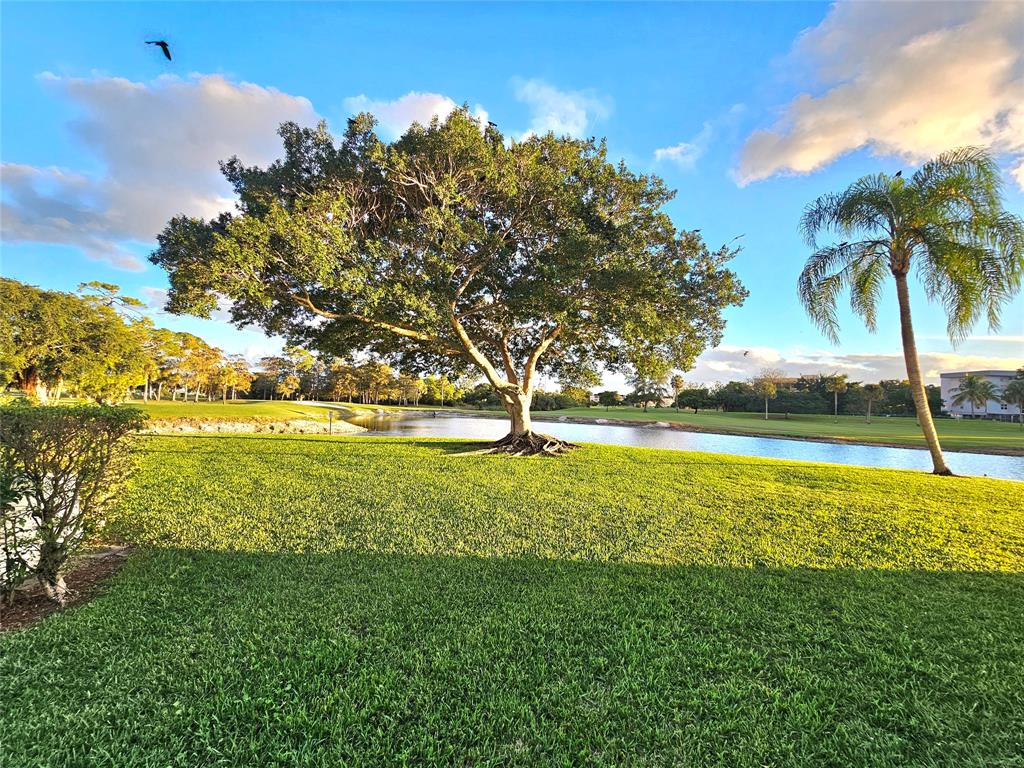 1460 Northwest 80th Avenue, Unit 101 Margate, FL 33063 - Photo 18 of 27 a view of yard with swimming pool and green space