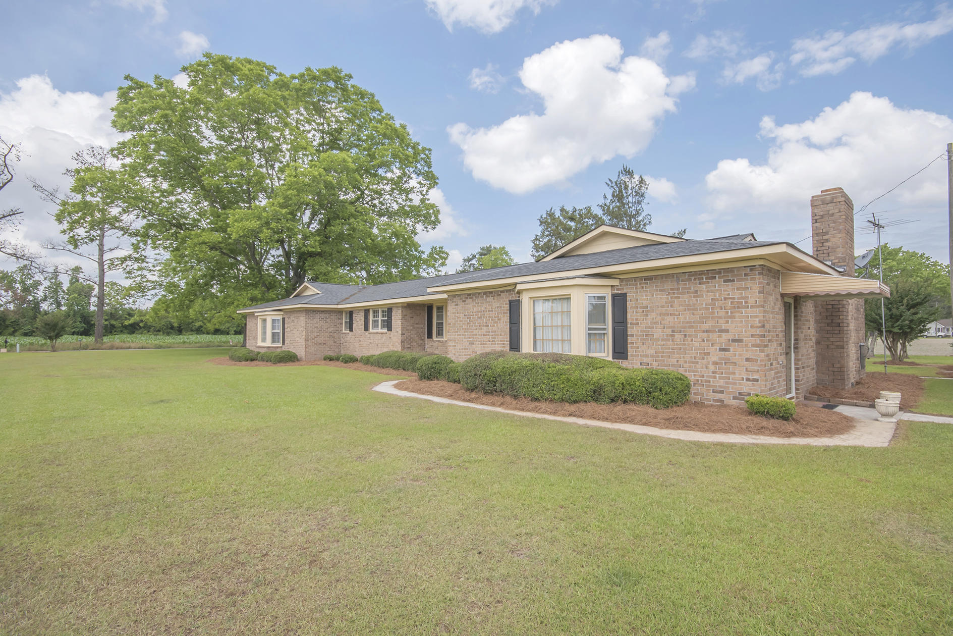 499 Grooms Road Cross, SC 29436 - Photo 3 of 35 DSC_0246