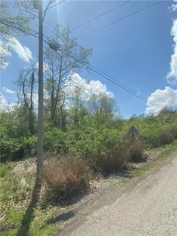 a view of a yard with plants and a bench