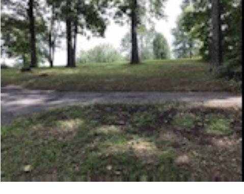 215 Booker Road Maynardville, TN 37807 - Photo 8 of 19 IMG_0294