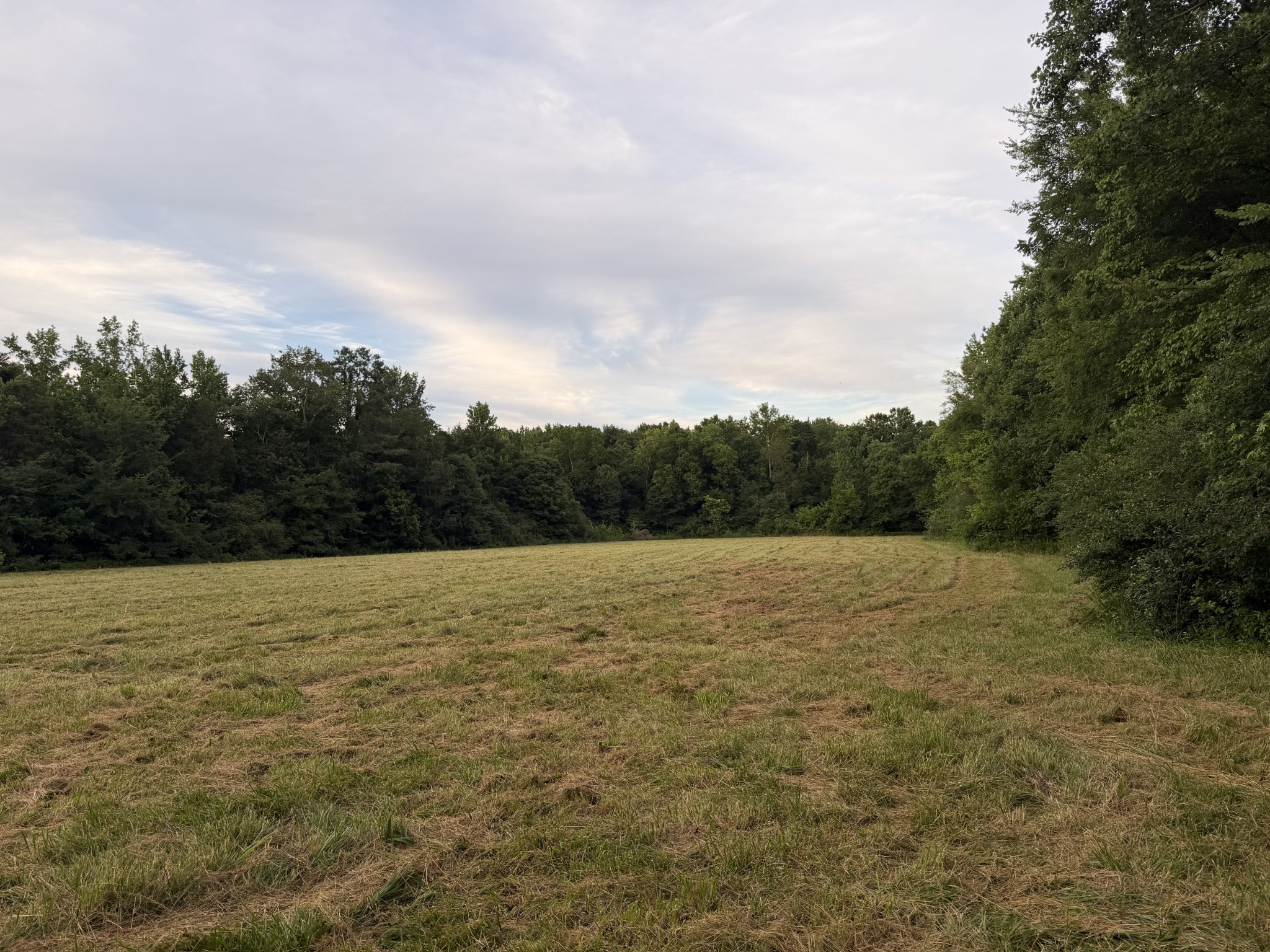 0 Dry Branch Road Holladay, TN 38341 - Photo 7 of 17