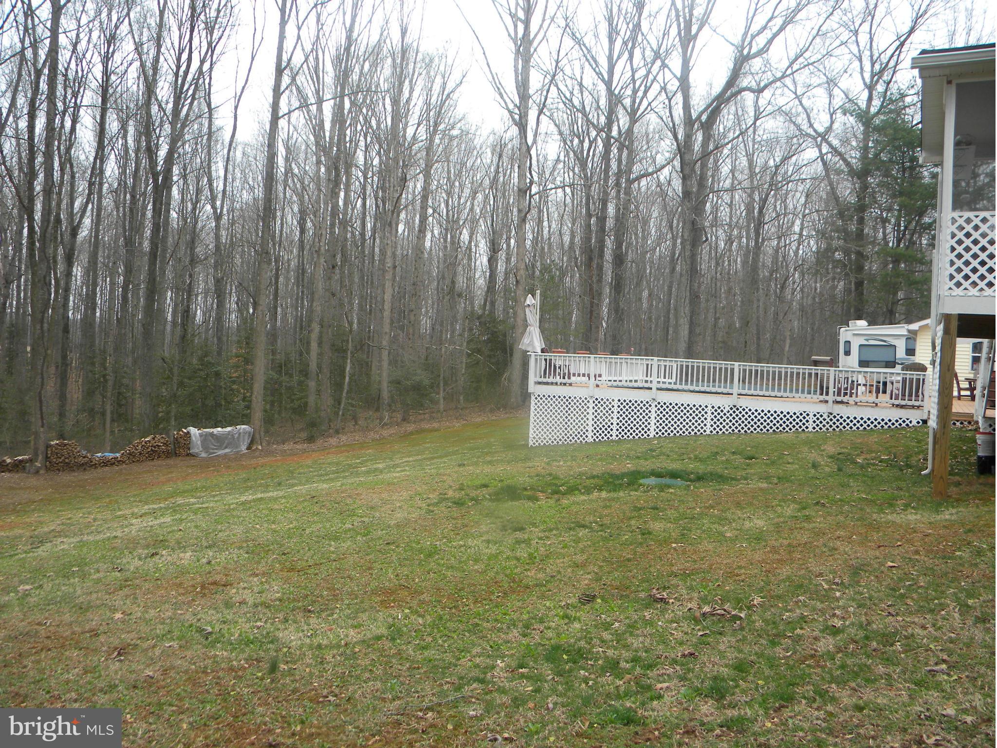 5409 Rixeyville Road Rixeyville, VA 22737 - Photo 22 of 30 Exterior (Rear)