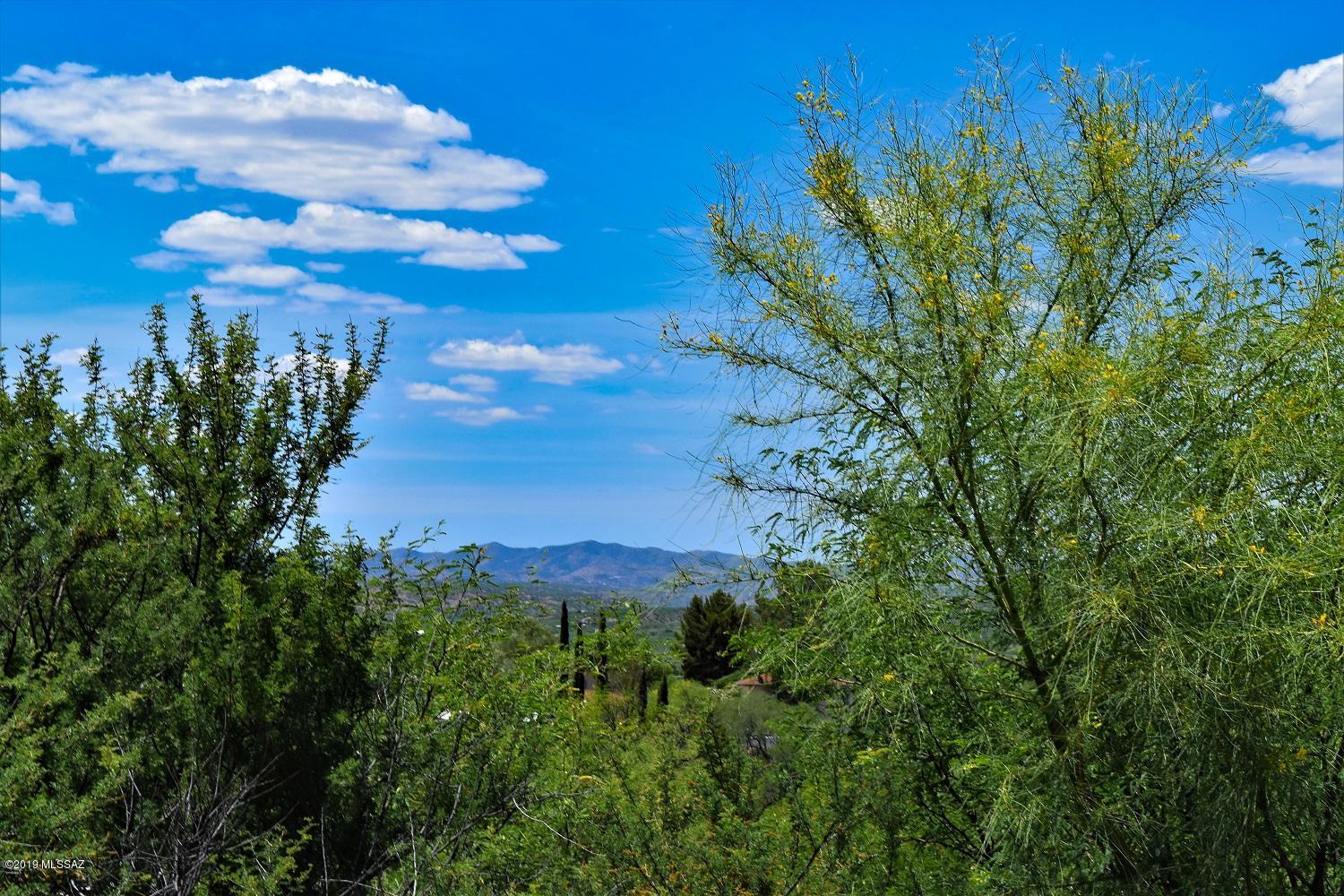 392 Willow Drive Rio Rico, AZ 85648 - Photo 25 of 25 a view of a city