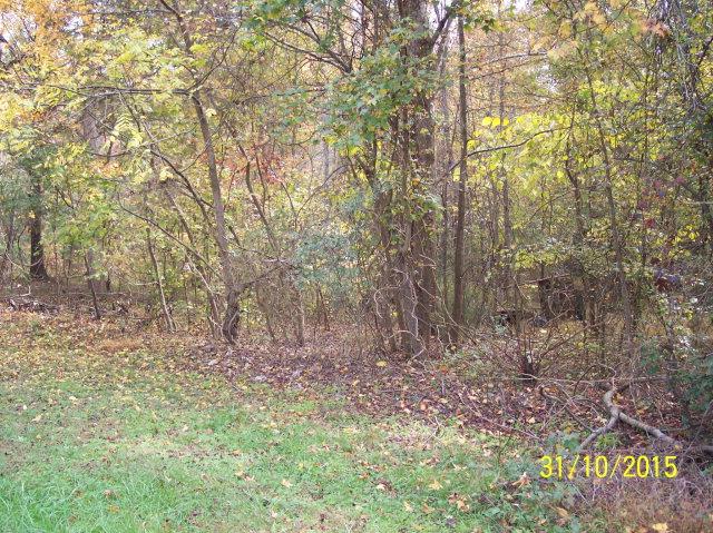 2398 Love Springs Road Gaffney, SC 29341 - Photo 4 of 5