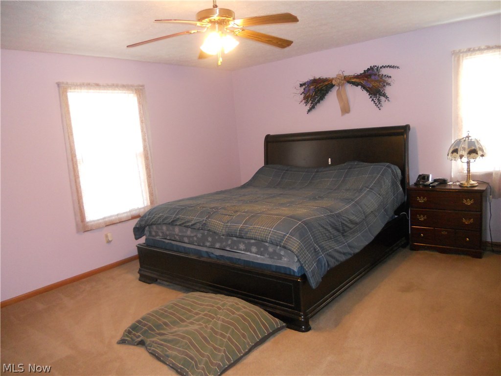 41821 Whitney Road Lagrange, OH 44050 - Photo 8 of 25 master