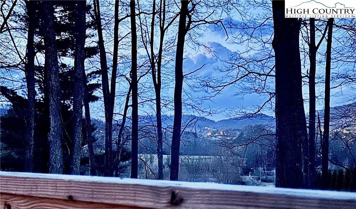 223 Timberlake Sparta, NC 28675 - Photo 24 of 50 a view of a backyard of the house