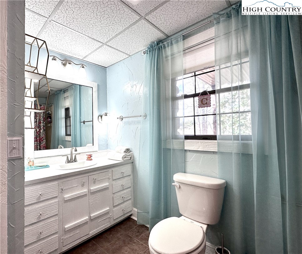 223 Timberlake Sparta, NC 28675 - Photo 40 of 50 a bathroom with a toilet sink and mirror