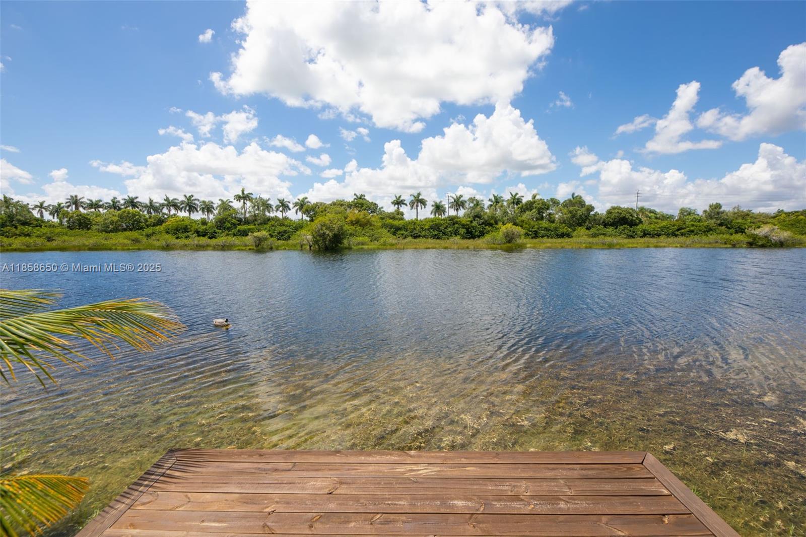 18196 Southwest 29th Street Miramar, FL 33029 - Photo 51 of 54 a view of a lake