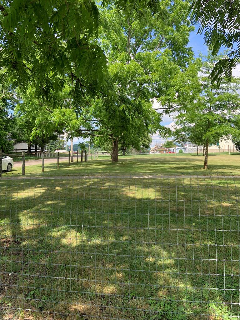 2303 Dry Road Speedwell, VA 24374 - Photo 37 of 49 Gallery Image 37