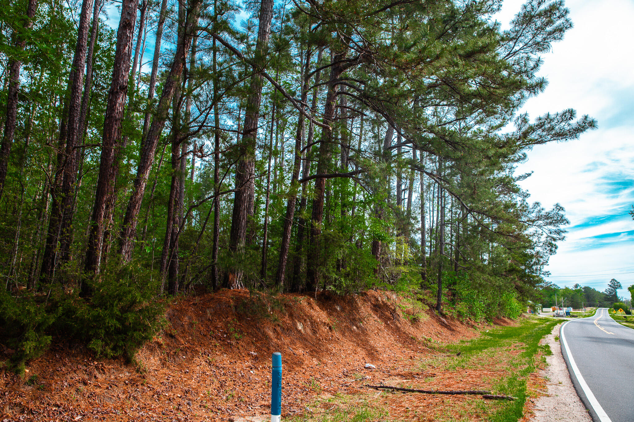 6011 Old Union Road Harlem, GA 30814 - Photo 12 of 45 IMG_5229