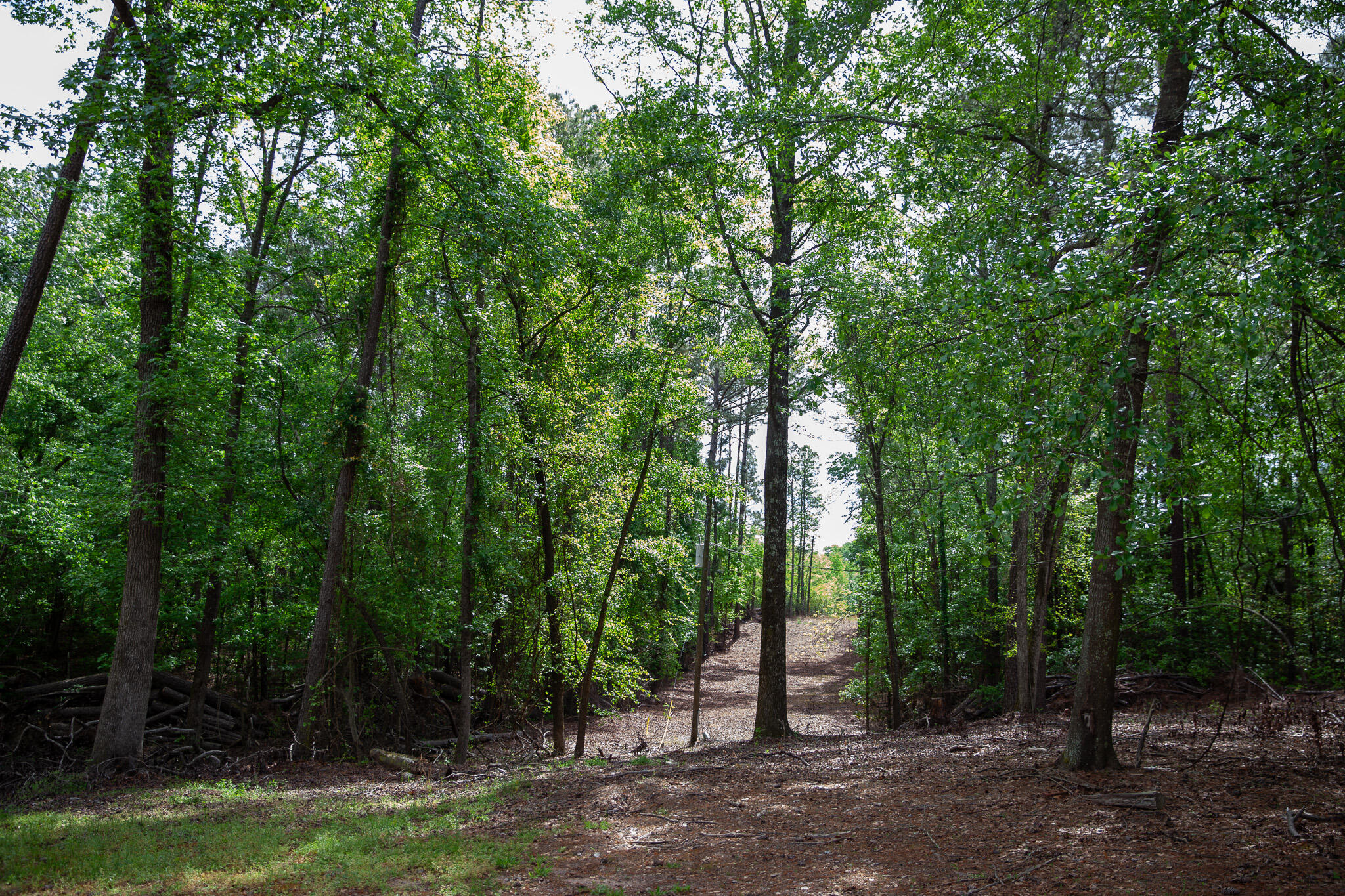 6011 Old Union Road Harlem, GA 30814 - Photo 20 of 45 IMG_5238
