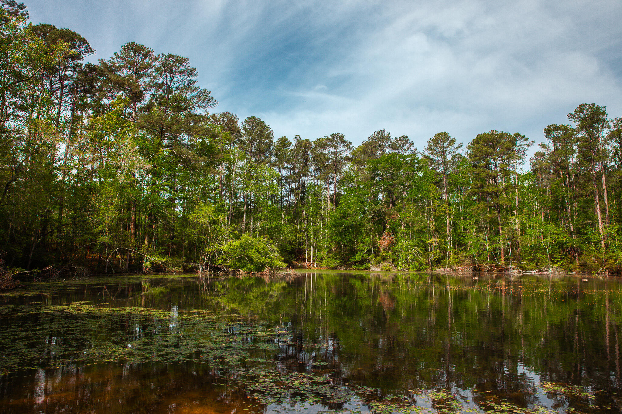 6011 Old Union Road Harlem, GA 30814 - Photo 2 of 45 IMG_5276