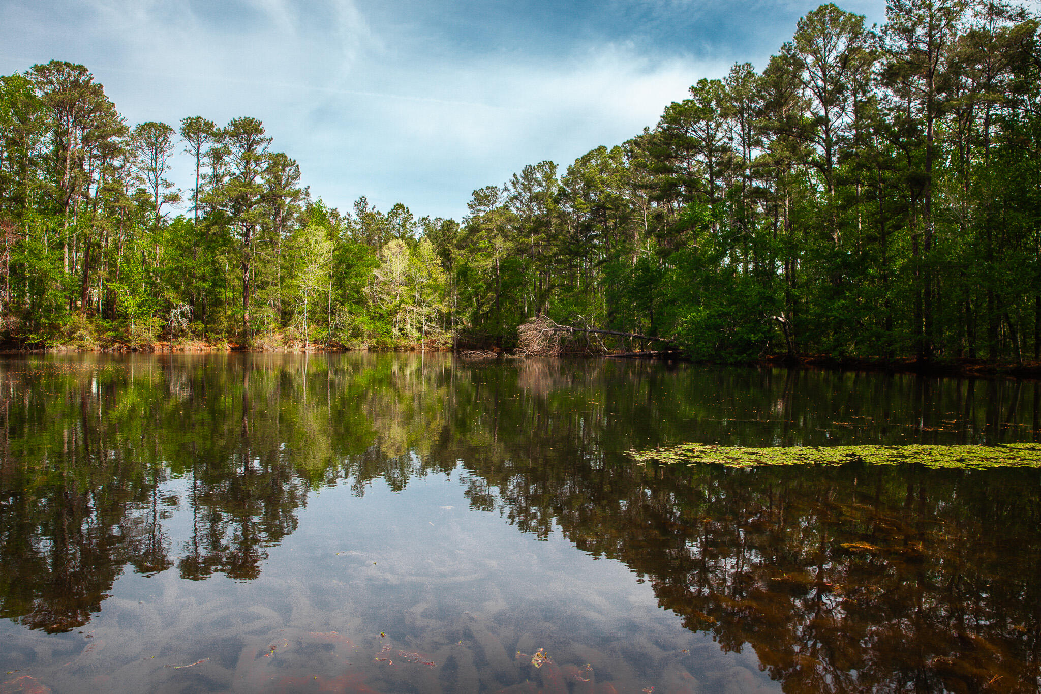 6011 Old Union Road Harlem, GA 30814 - Photo 3 of 45 IMG_5277