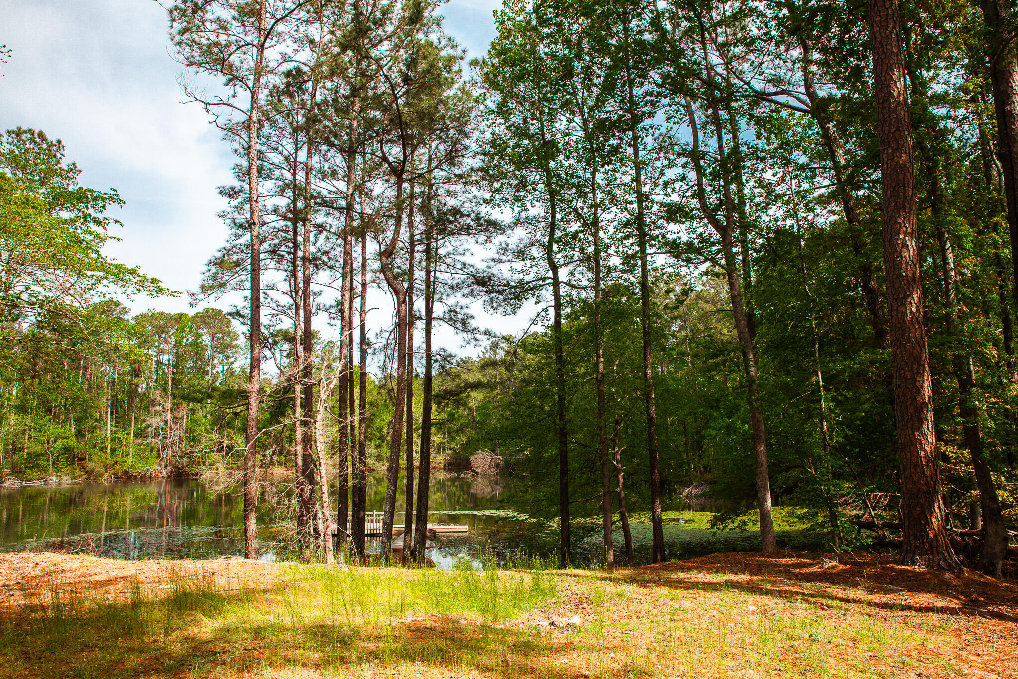 6011 Old Union Road Harlem, GA 30814 - Photo 42 of 45 IMG_5282