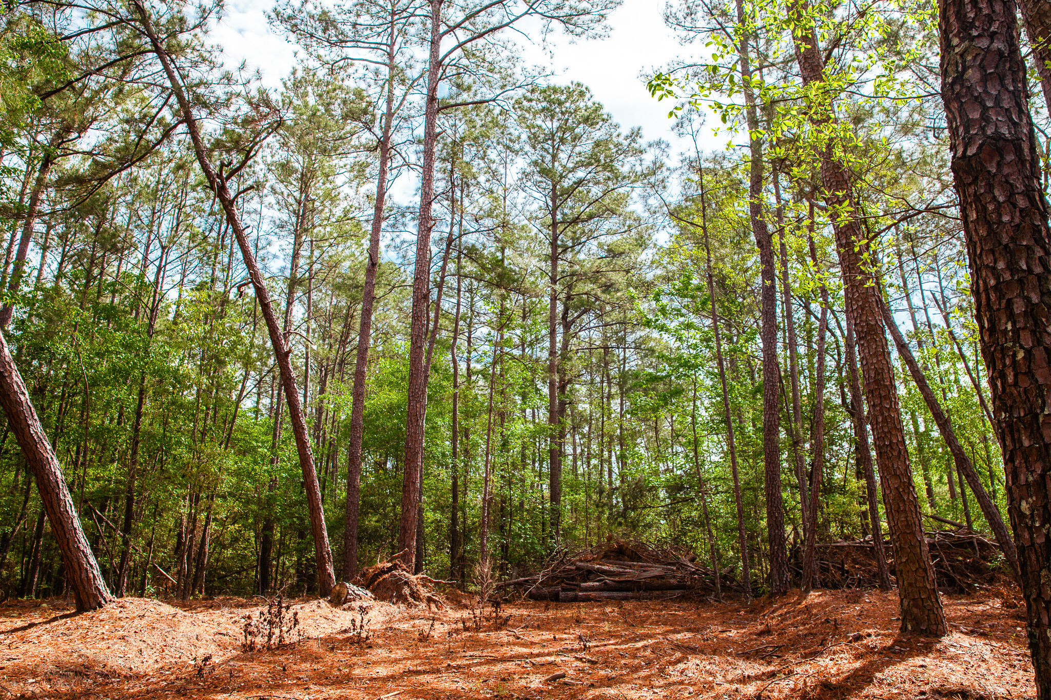 6011 Old Union Road Harlem, GA 30814 - Photo 45 of 45 IMG_5285