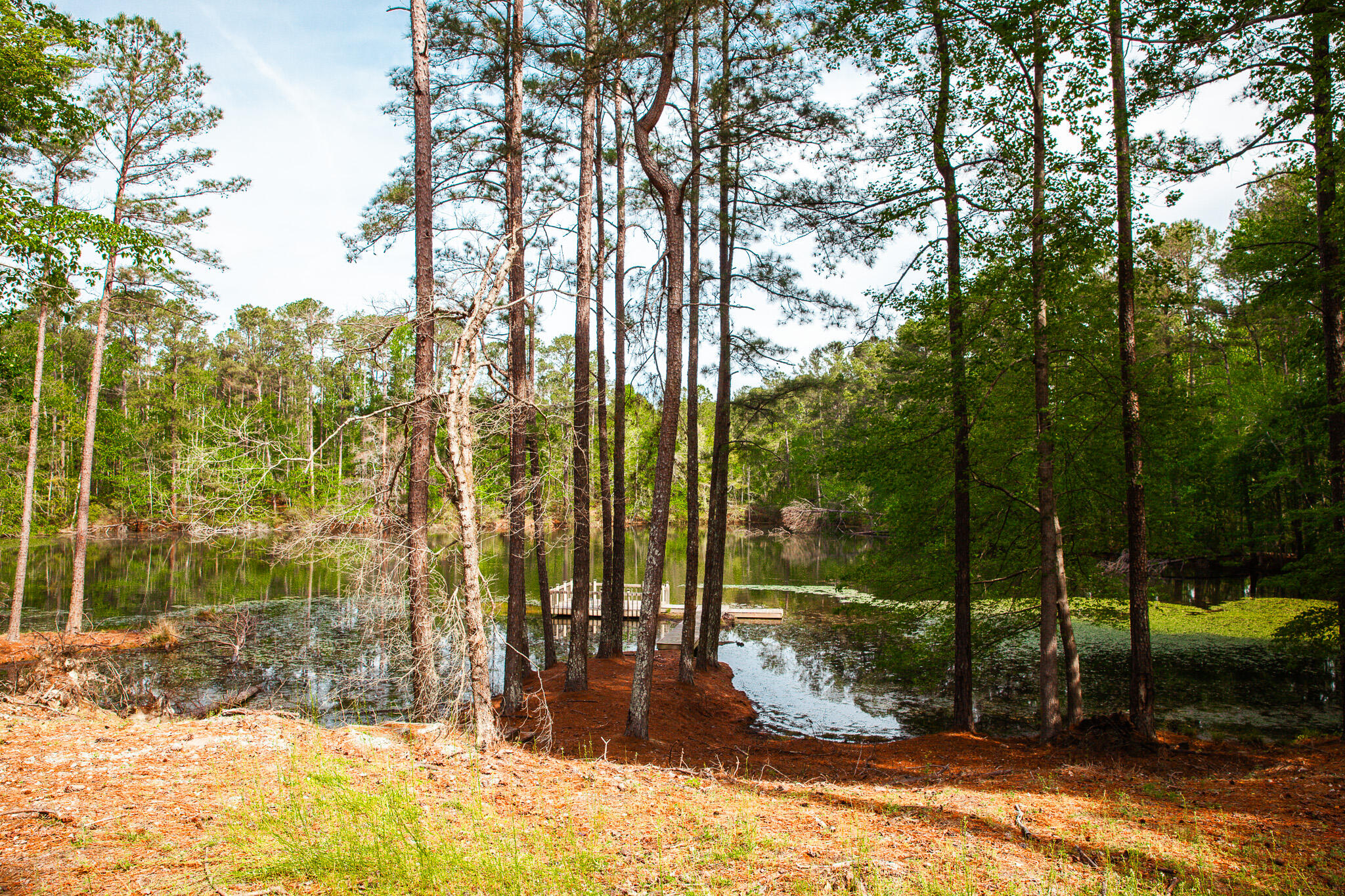 6011 Old Union Road Harlem, GA 30814 - Photo 8 of 45 IMG_5271