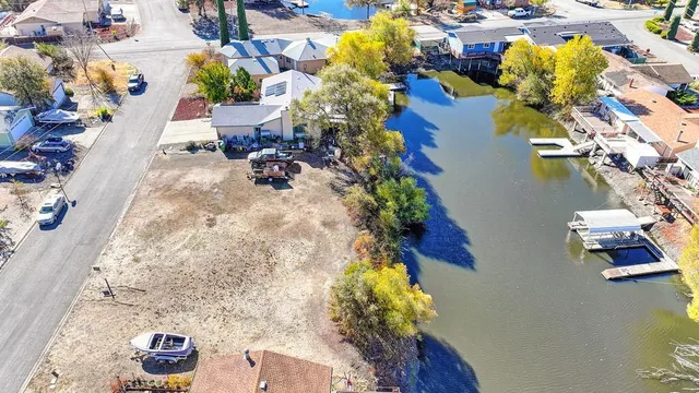 a picture of flowers and flowers