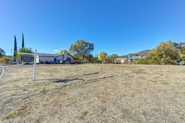 a view of a yard with an trees
