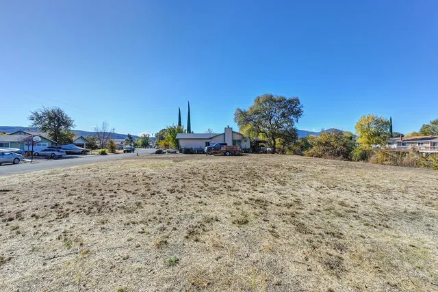 a view of a dry yard with trees