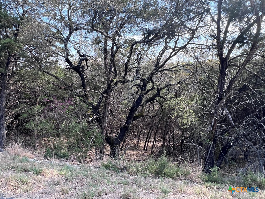 4079 Sherwood Drive Belton, TX 76513 - Photo 2 of 9